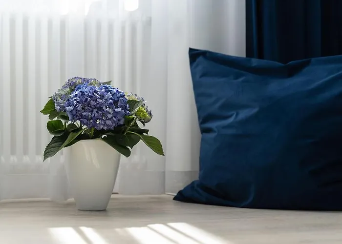 Vip Center Baden-Baden